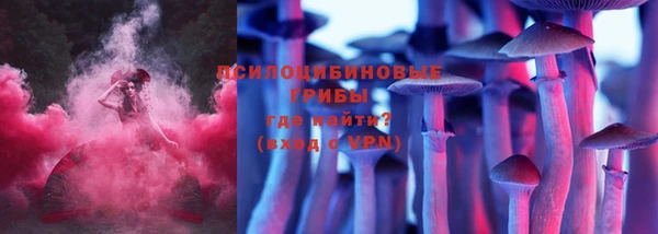дмт Горняк