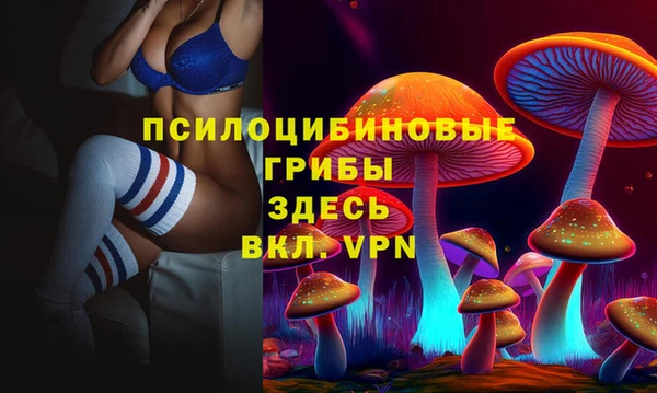 ГАЛЛЮЦИНОГЕННЫЕ ГРИБЫ Волоколамск