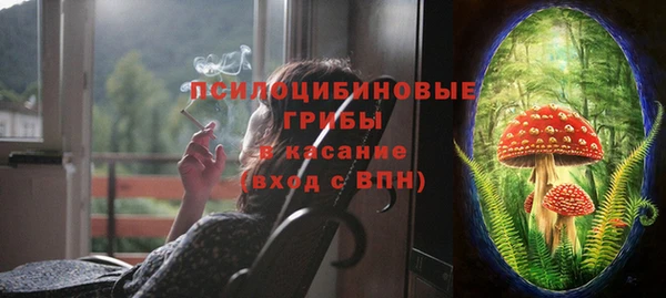 бошки Верхний Тагил