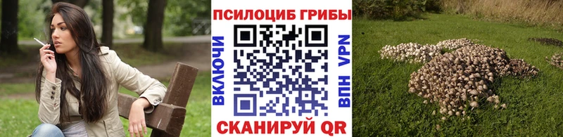 Галлюциногенные грибы мицелий  darknet какой сайт  Завитинск 