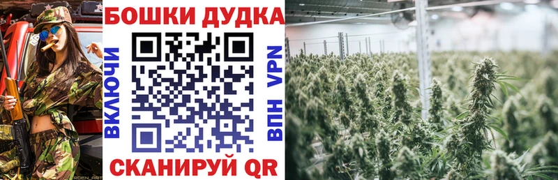 Конопля OG Kush Завитинск